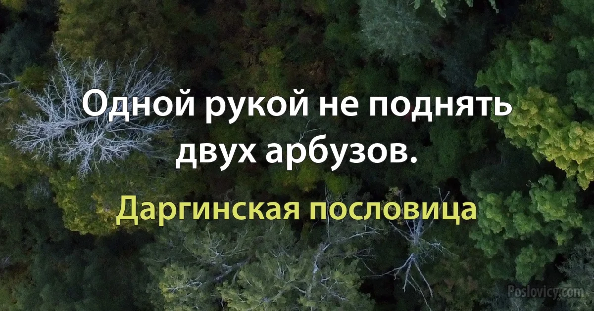 Одной рукой не поднять двух арбузов. (Даргинская пословица)