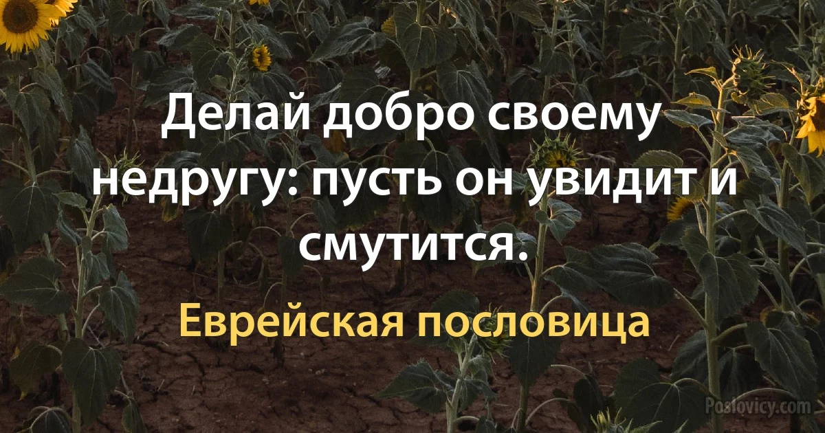 Делай добро своему недругу: пусть он увидит и смутится. (Еврейская пословица)