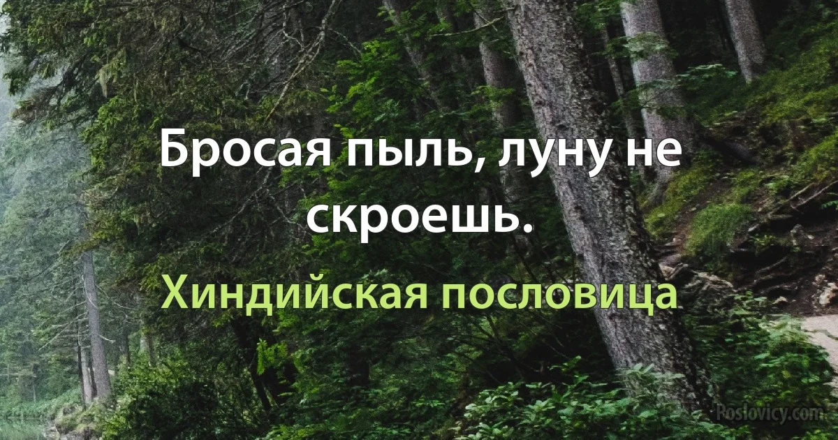 Бросая пыль, луну не скроешь. (Хиндийская пословица)