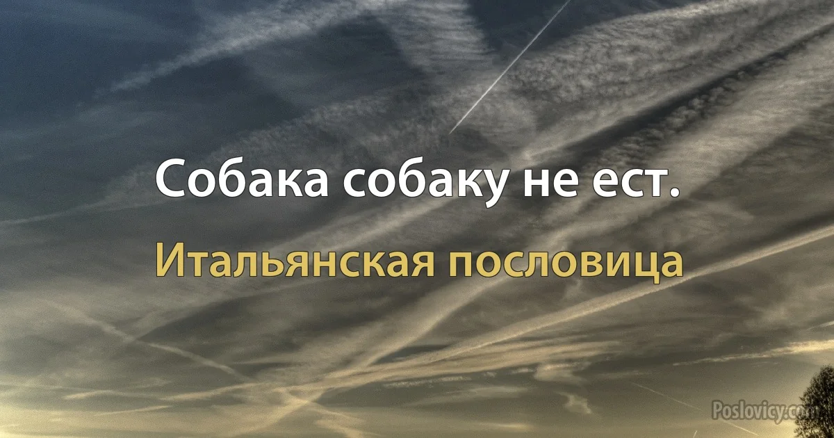 Собака собаку не ест. (Итальянская пословица)