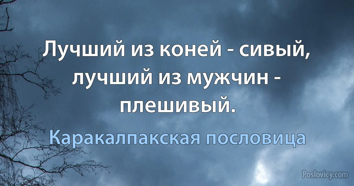 Лучший из коней - сивый, лучший из мужчин - плешивый. (Каракалпакская пословица)