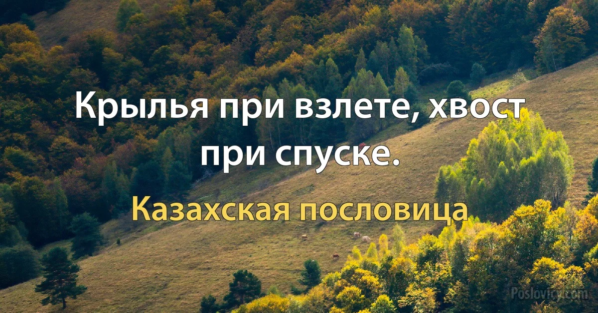 Крылья при взлете, хвост при спуске. (Казахская пословица)