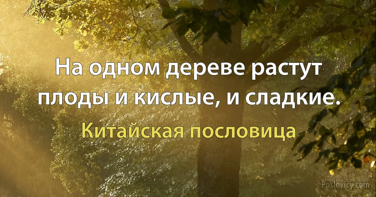 На одном дереве растут плоды и кислые, и сладкие. (Китайская пословица)