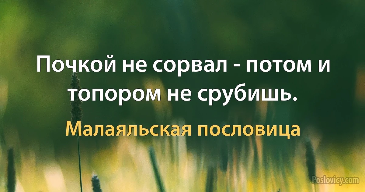 Почкой не сорвал - потом и топором не срубишь. (Малаяльская пословица)