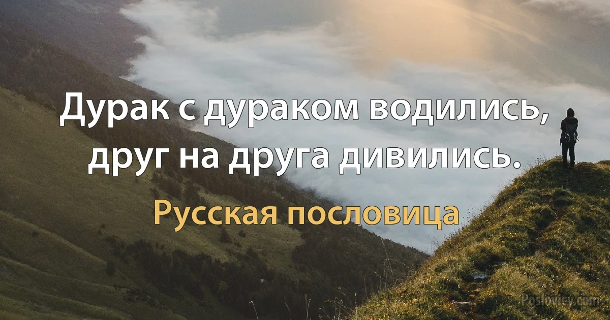 Дурак с дураком водились, друг на друга дивились. (Русская пословица)