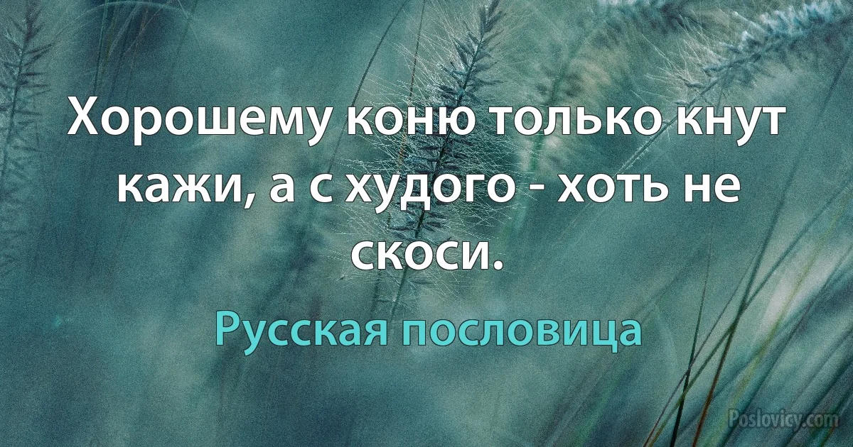 Хорошему коню только кнут кажи, а с худого - хоть не скоси. (Русская пословица)