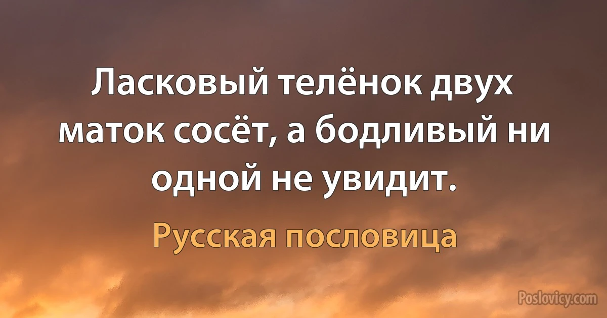 Ласковый телёнок двух маток сосёт, а бодливый ни одной не увидит. (Русская пословица)