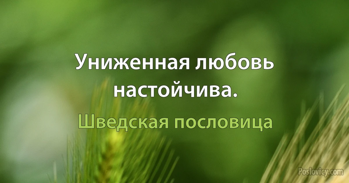 Униженная любовь настойчива. (Шведская пословица)