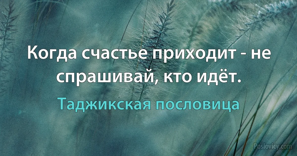 Когда счастье приходит - не спрашивай, кто идёт. (Таджикская пословица)