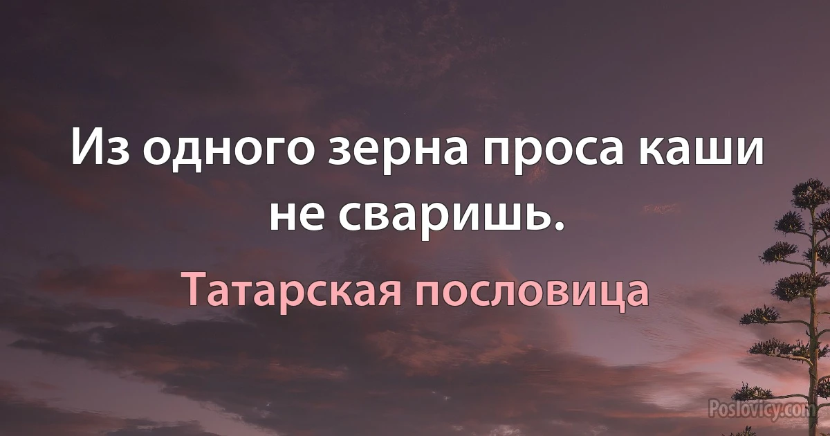 Из одного зерна проса каши не сваришь. (Татарская пословица)