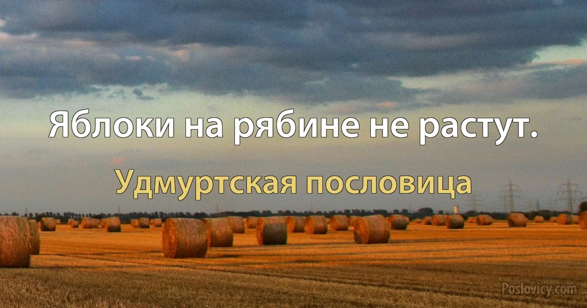 Яблоки на рябине не растут. (Удмуртская пословица)