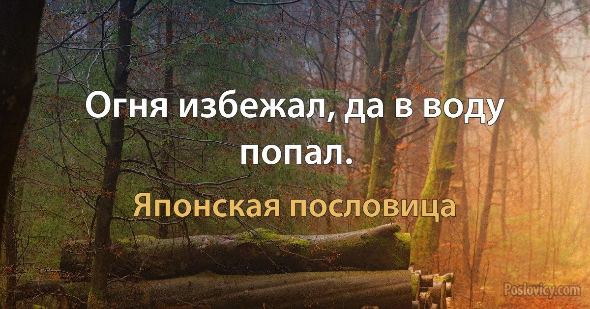 Огня избежал, да в воду попал. (Японская пословица)