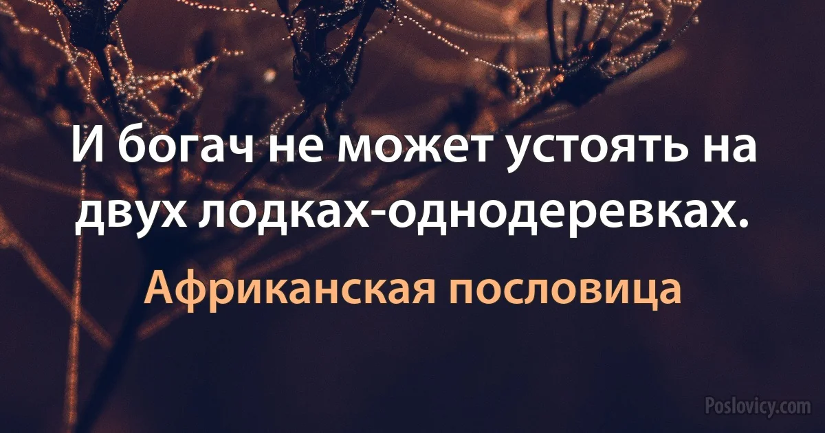 И богач не может устоять на двух лодках-однодеревках. (Африканская пословица)