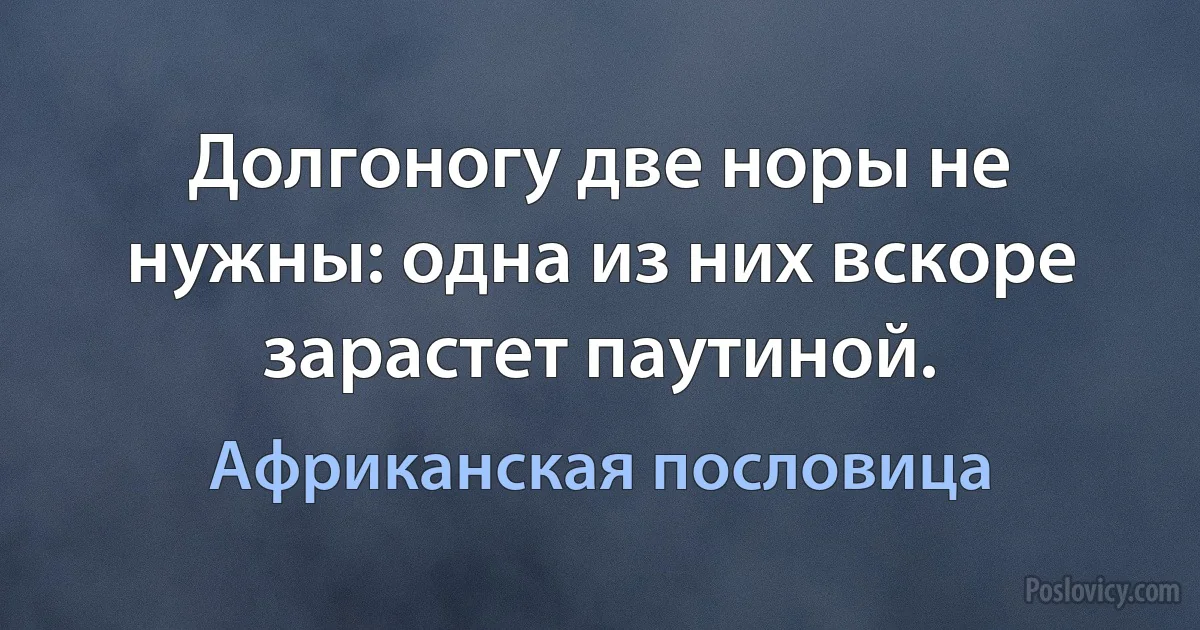 Долгоногу две норы не нужны: одна из них вскоре зарастет паутиной. (Африканская пословица)