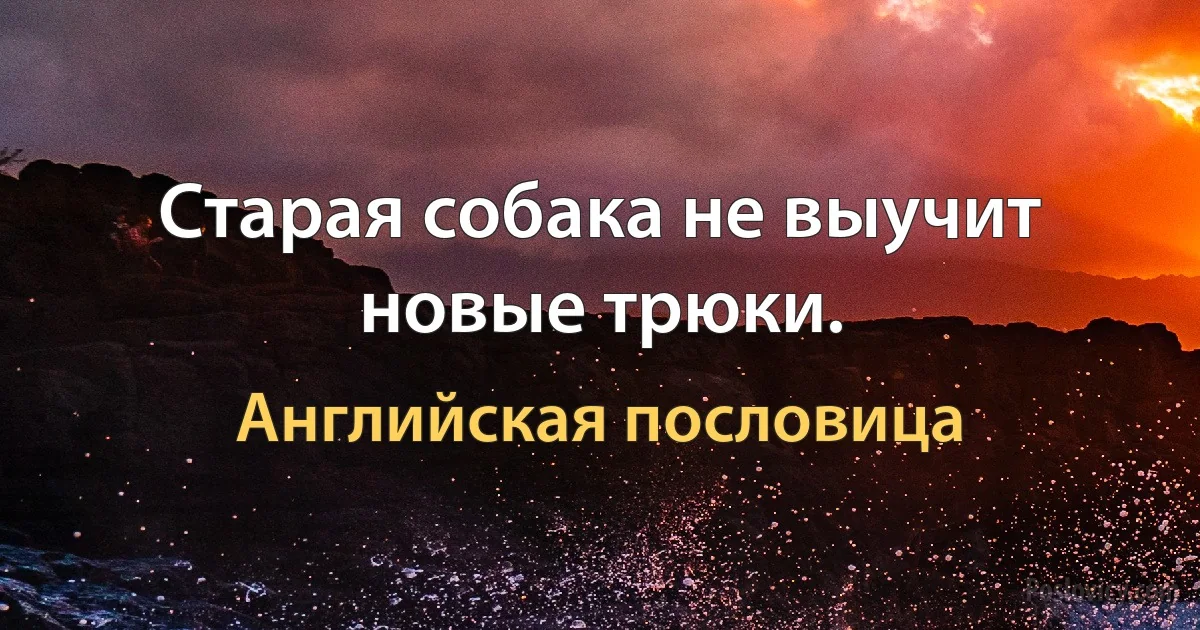 Старая собака не выучит новые трюки. (Английская пословица)