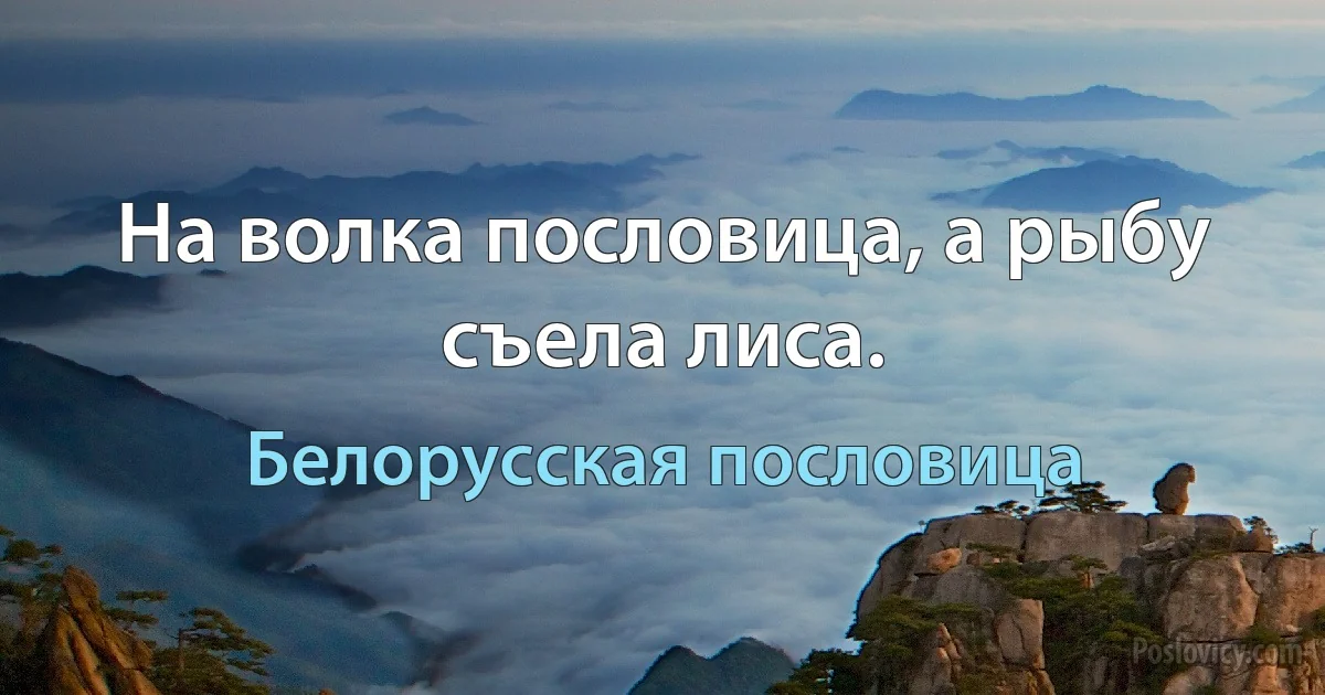 На волка пословица, а рыбу съела лиса. (Белорусская пословица)