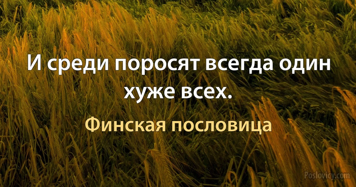 И среди поросят всегда один хуже всех. (Финская пословица)