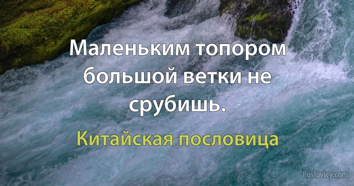 Маленьким топором большой ветки не срубишь. (Китайская пословица)