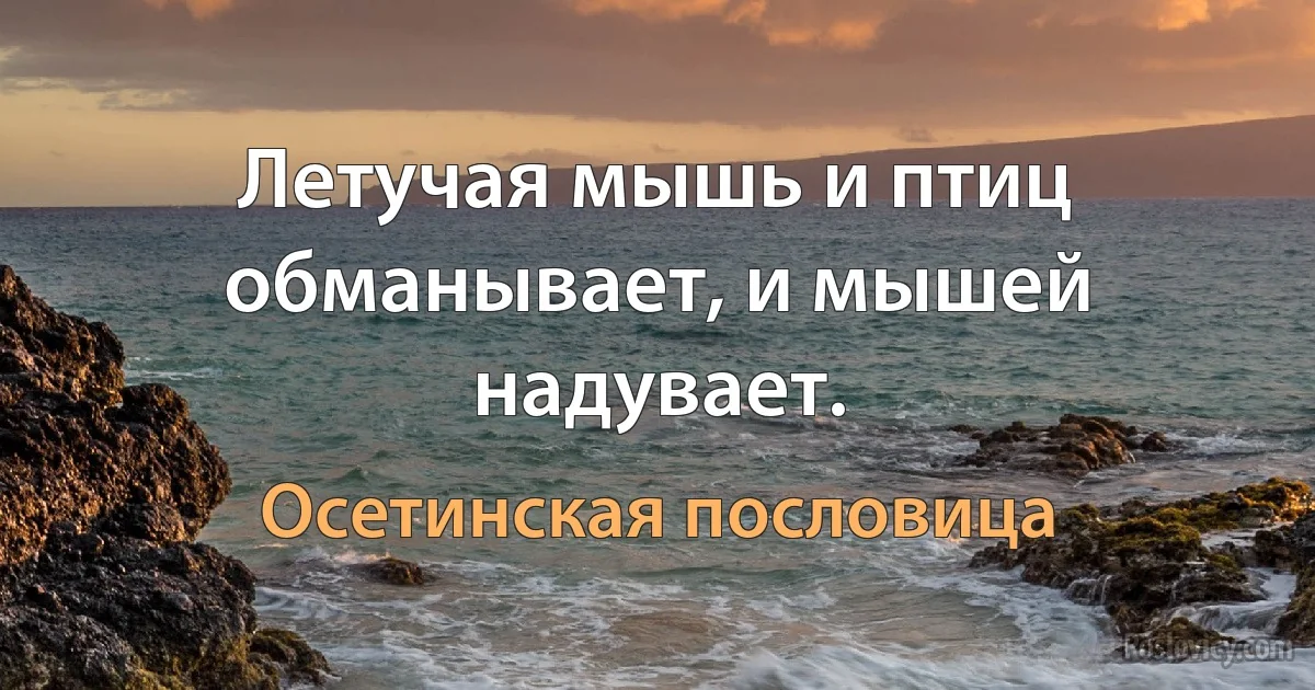 Летучая мышь и птиц обманывает, и мышей надувает. (Осетинская пословица)