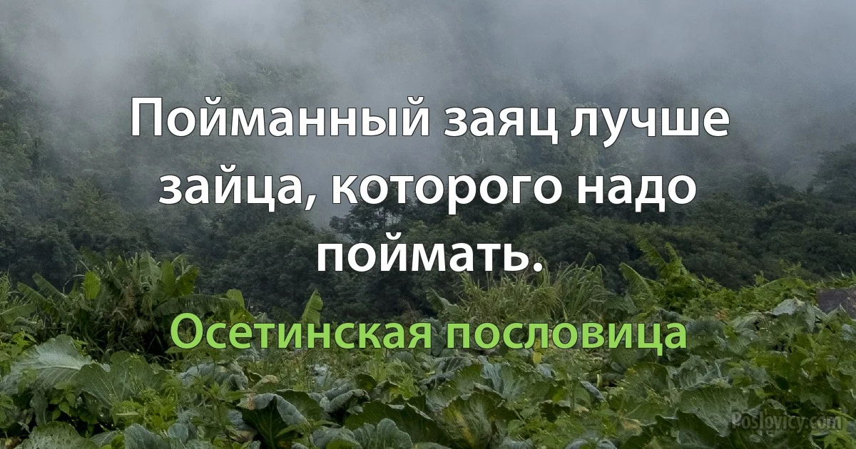 Пойманный заяц лучше зайца, которого надо поймать. (Осетинская пословица)