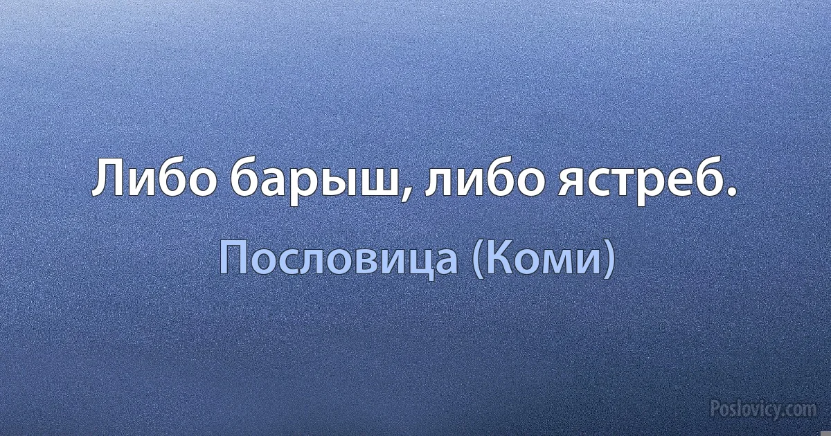 Либо барыш, либо ястреб. (Пословица (Коми))