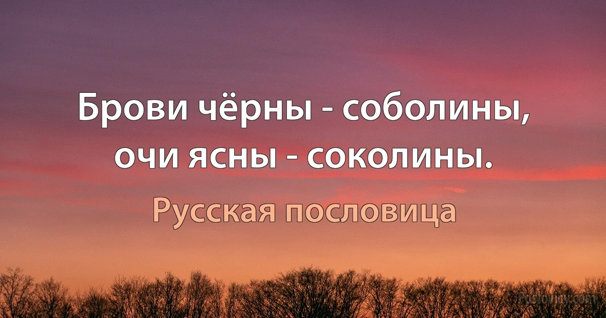 Брови чёрны - соболины, очи ясны - соколины. (Русская пословица)