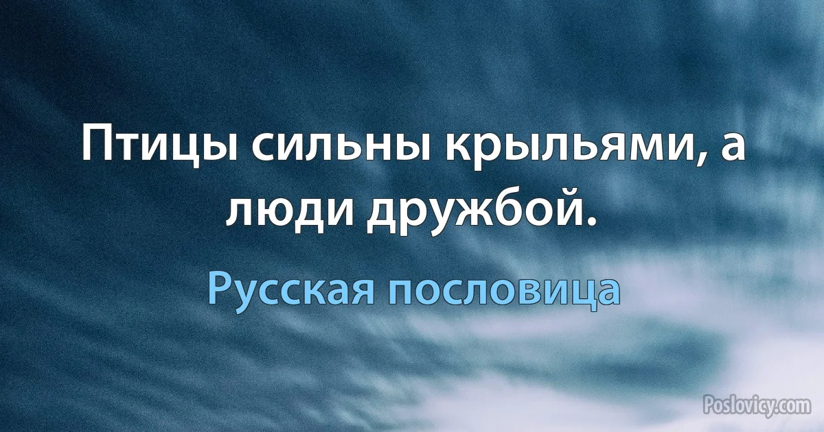 Птицы сильны крыльями, а люди дружбой. (Русская пословица)