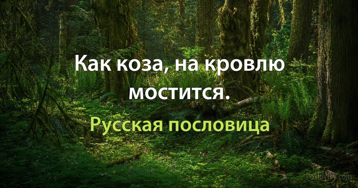 Как коза, на кровлю мостится. (Русская пословица)