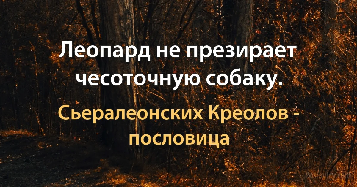 Леопард не презирает чесоточную собаку. (Сьералеонских Креолов - пословица)