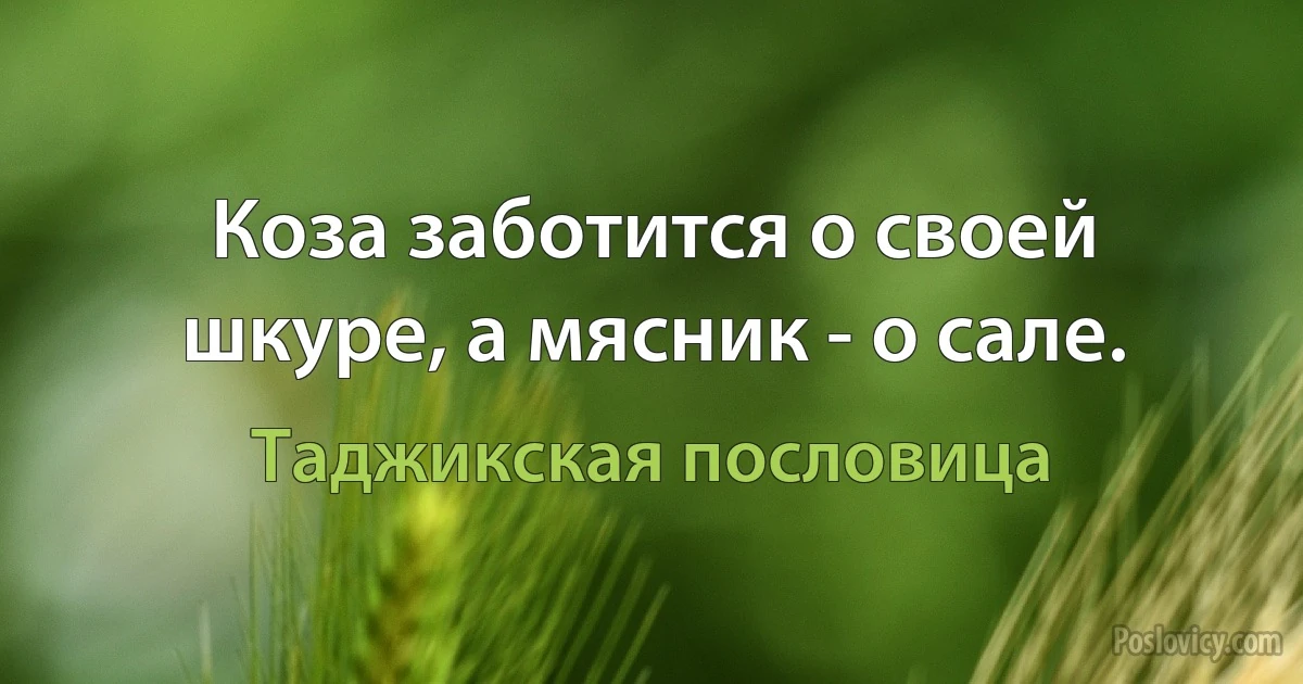 Коза заботится о своей шкуре, а мясник - о сале. (Таджикская пословица)