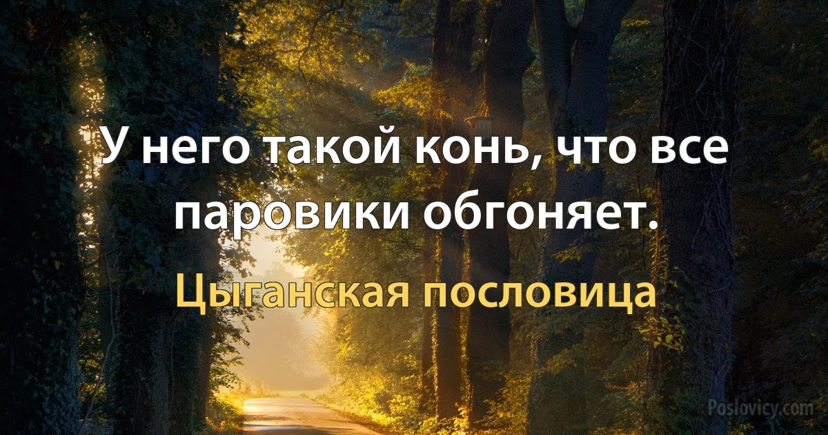 У него такой конь, что все паровики обгоняет. (Цыганская пословица)