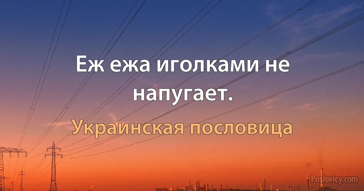 Еж ежа иголками не напугает. (Украинская пословица)