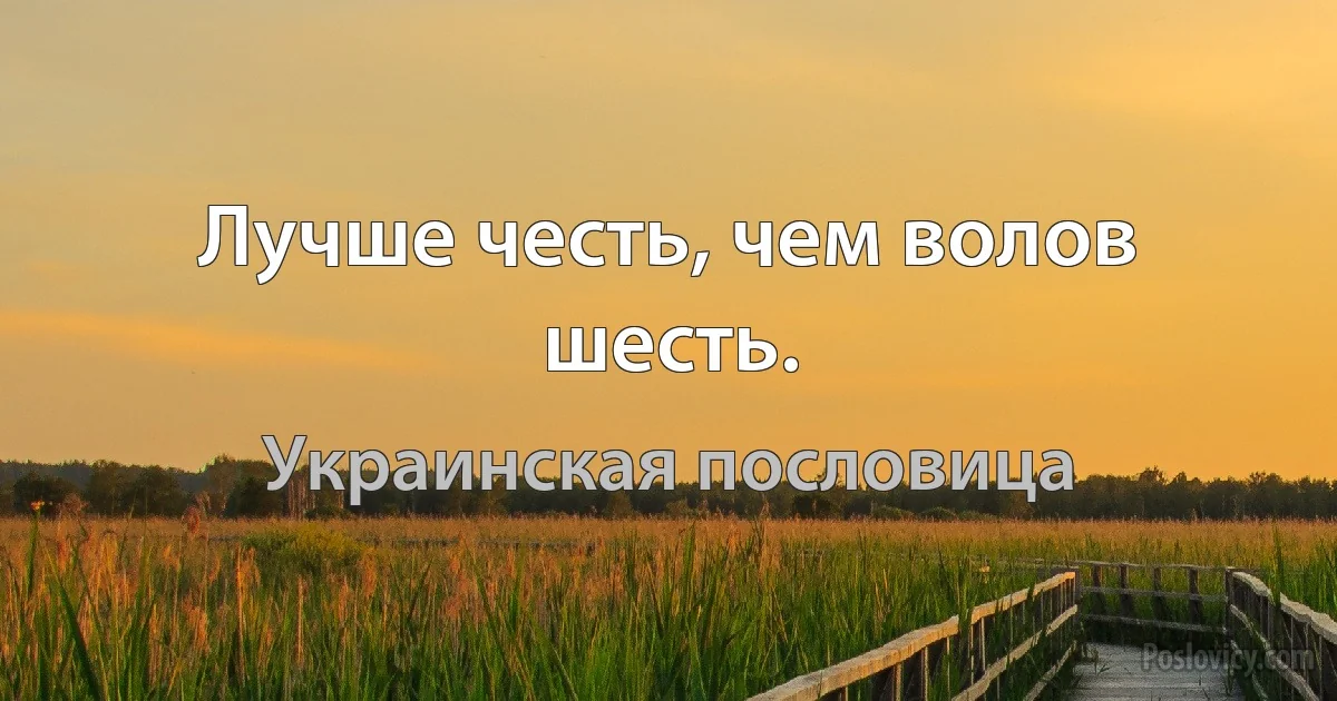 Лучше честь, чем волов шесть. (Украинская пословица)