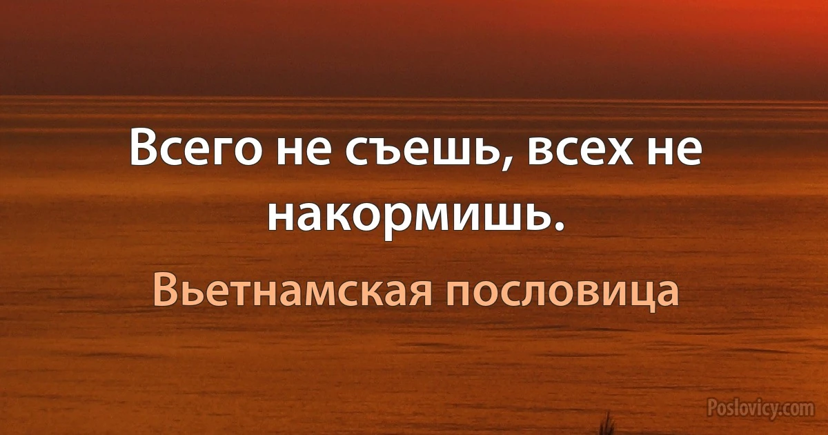 Всего не съешь, всех не накормишь. (Вьетнамская пословица)