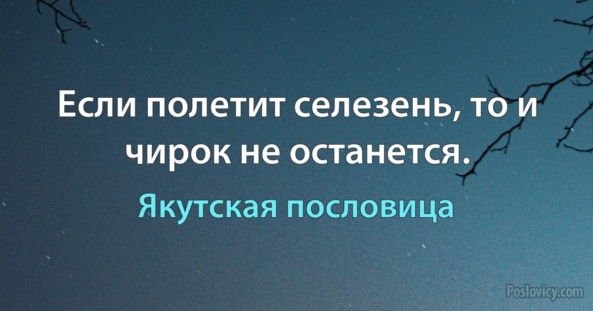 Если полетит селезень, то и чирок не останется. (Якутская пословица)