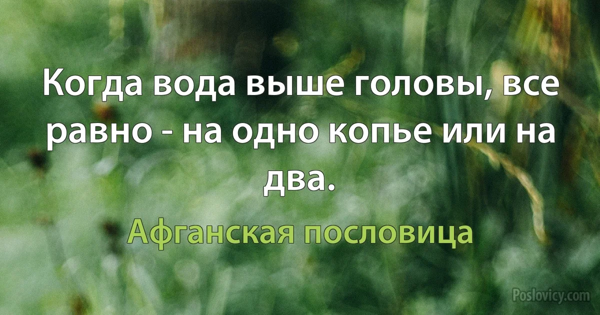 Когда вода выше головы, все равно - на одно копье или на два. (Афганская пословица)