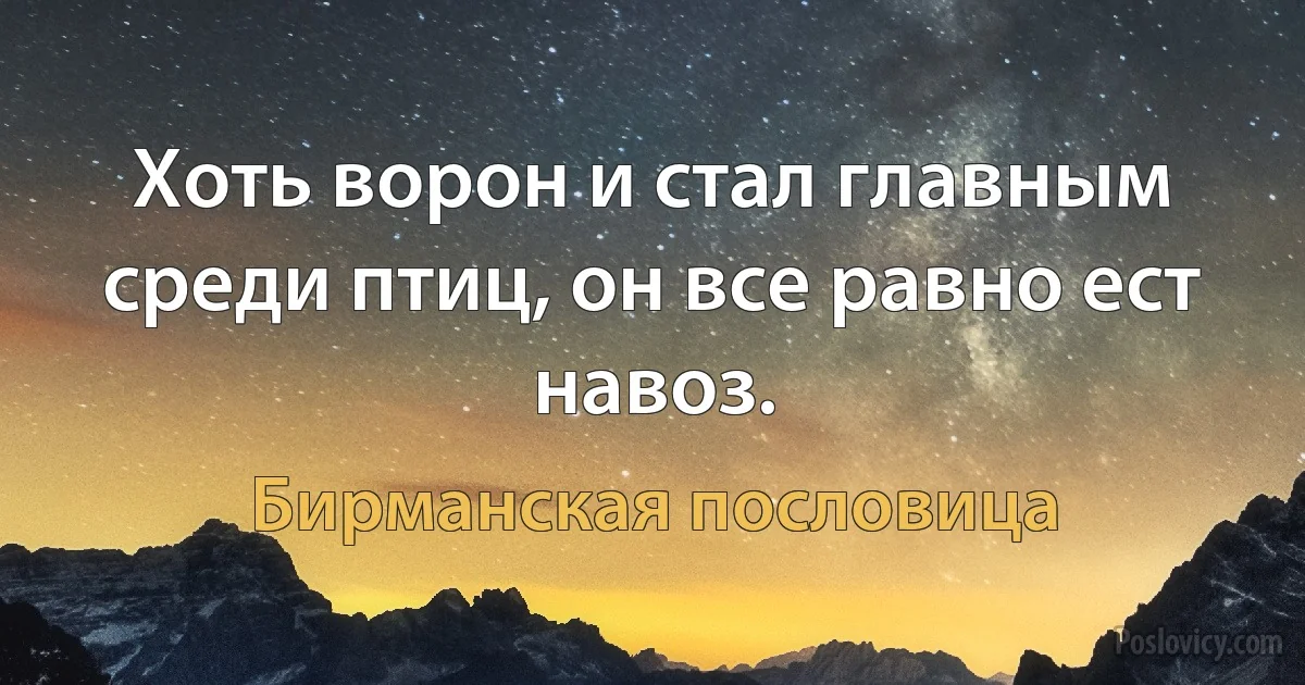 Хоть ворон и стал главным среди птиц, он все равно ест навоз. (Бирманская пословица)