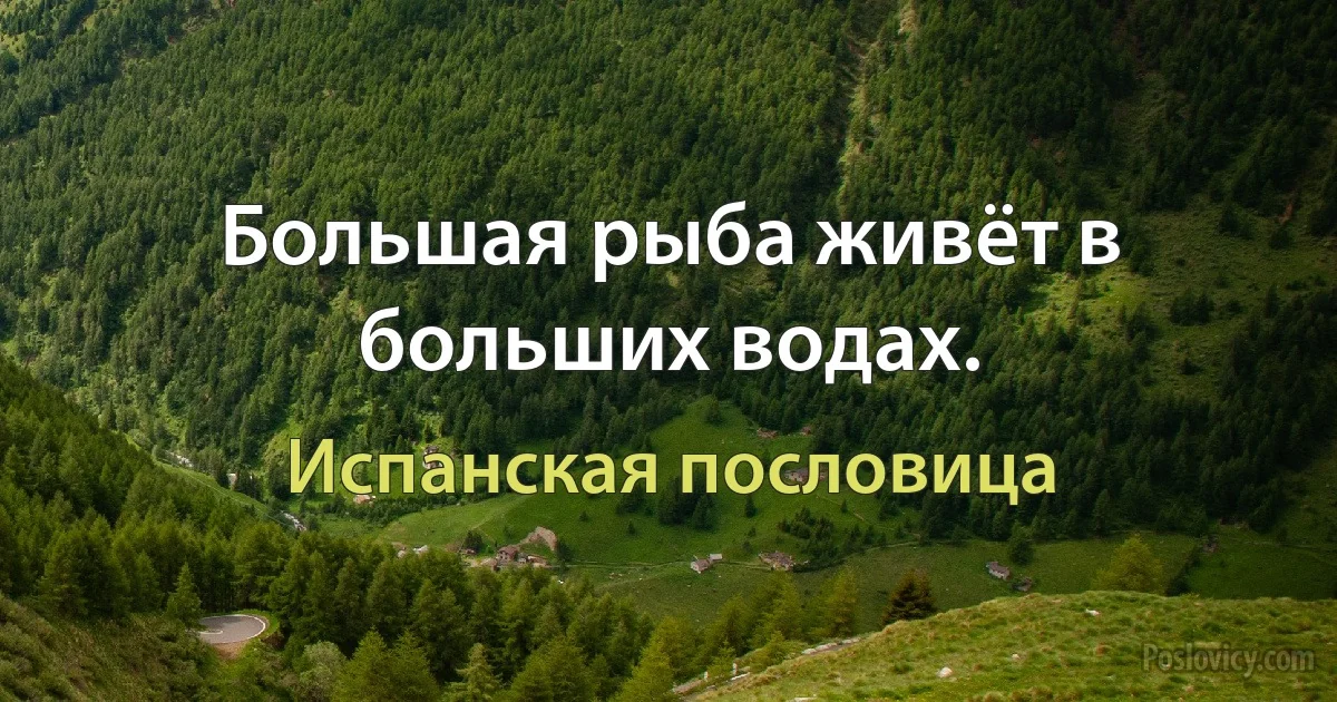 Большая рыба живёт в больших водах. (Испанская пословица)