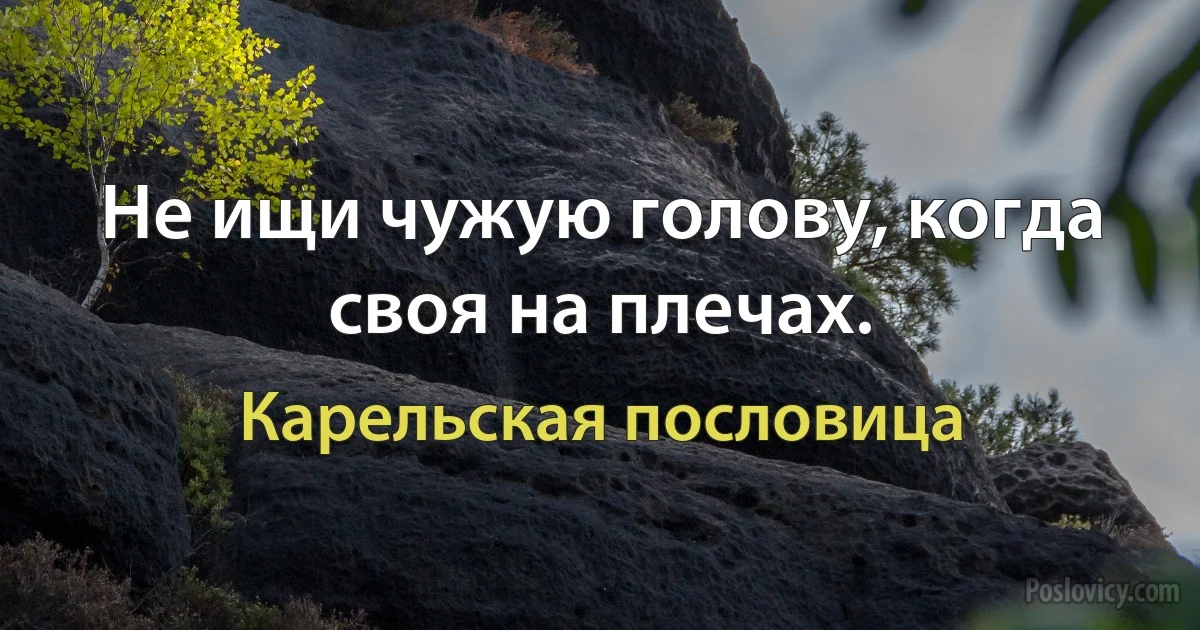 Не ищи чужую голову, когда своя на плечах. (Карельская пословица)