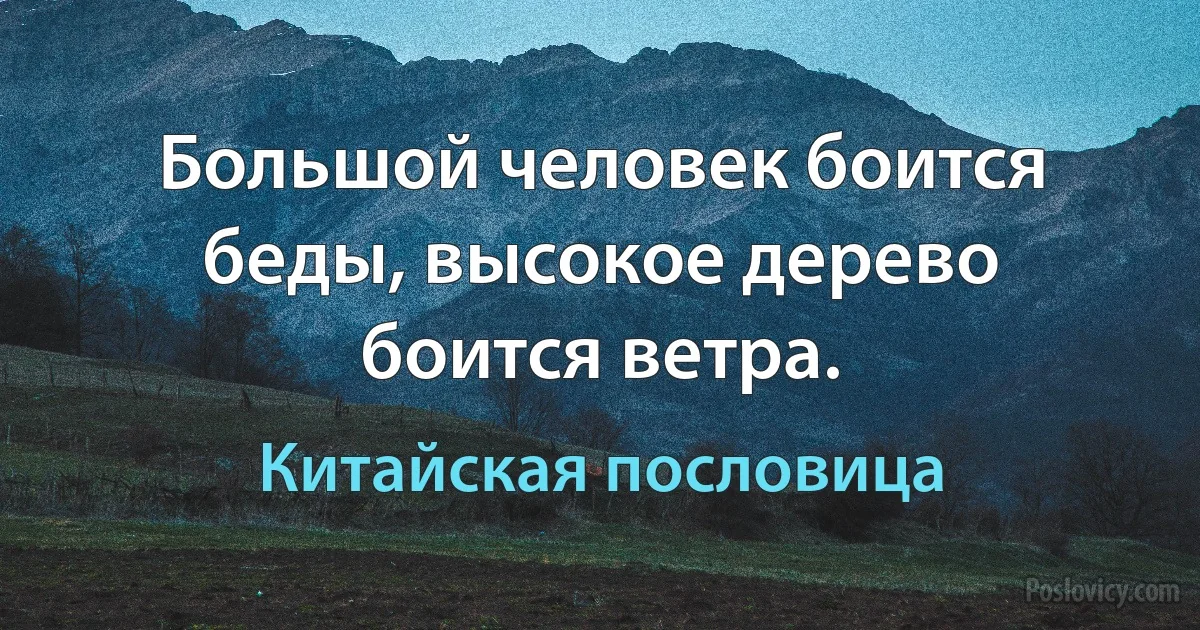 Большой человек боится беды, высокое дерево боится ветра. (Китайская пословица)