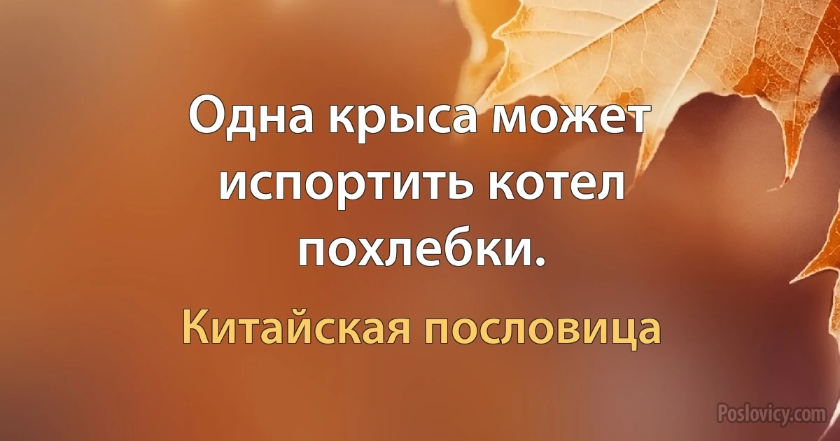 Одна крыса может испортить котел похлебки. (Китайская пословица)