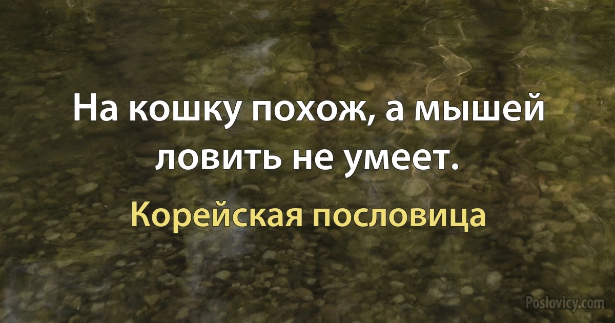 На кошку похож, а мышей ловить не умеет. (Корейская пословица)