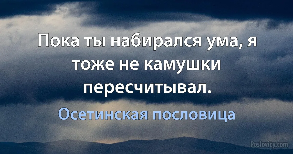 Пока ты набирался ума, я тоже не камушки пересчитывал. (Осетинская пословица)