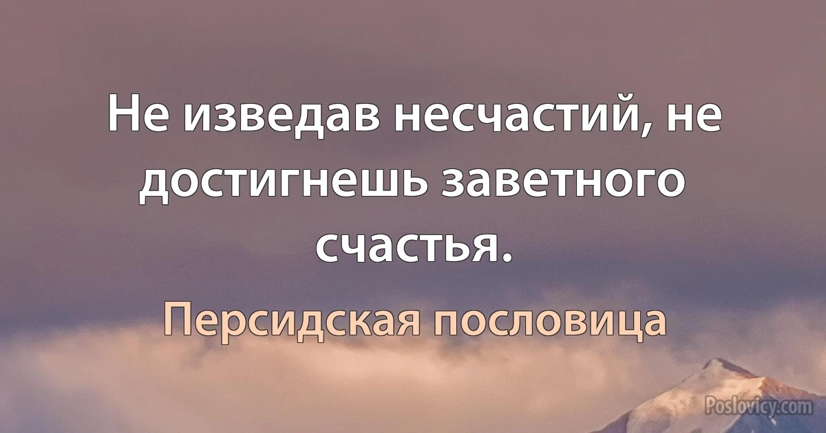 Не изведав несчастий, не достигнешь заветного счастья. (Персидская пословица)