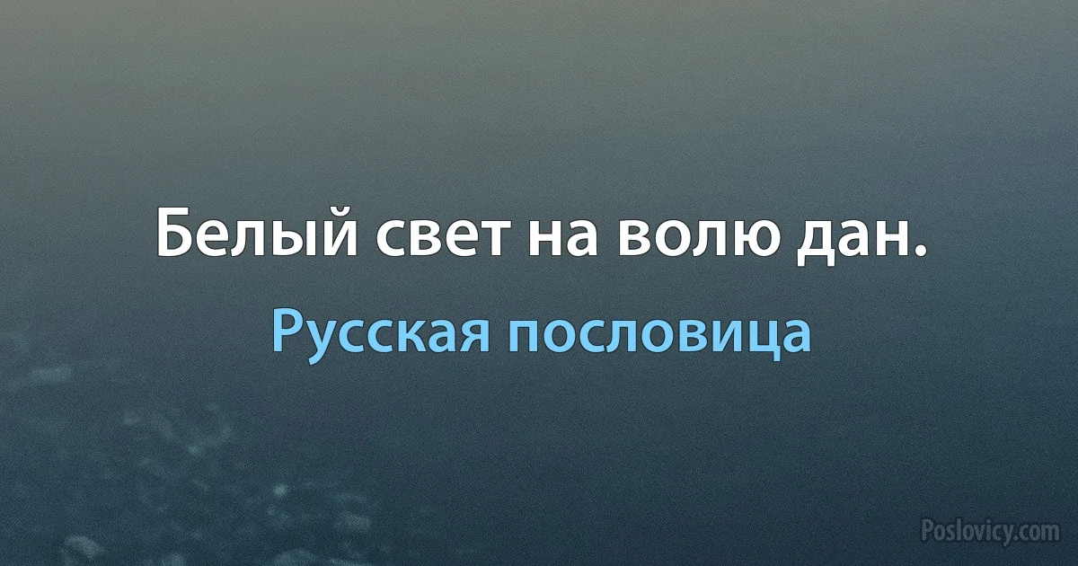 Белый свет на волю дан. (Русская пословица)