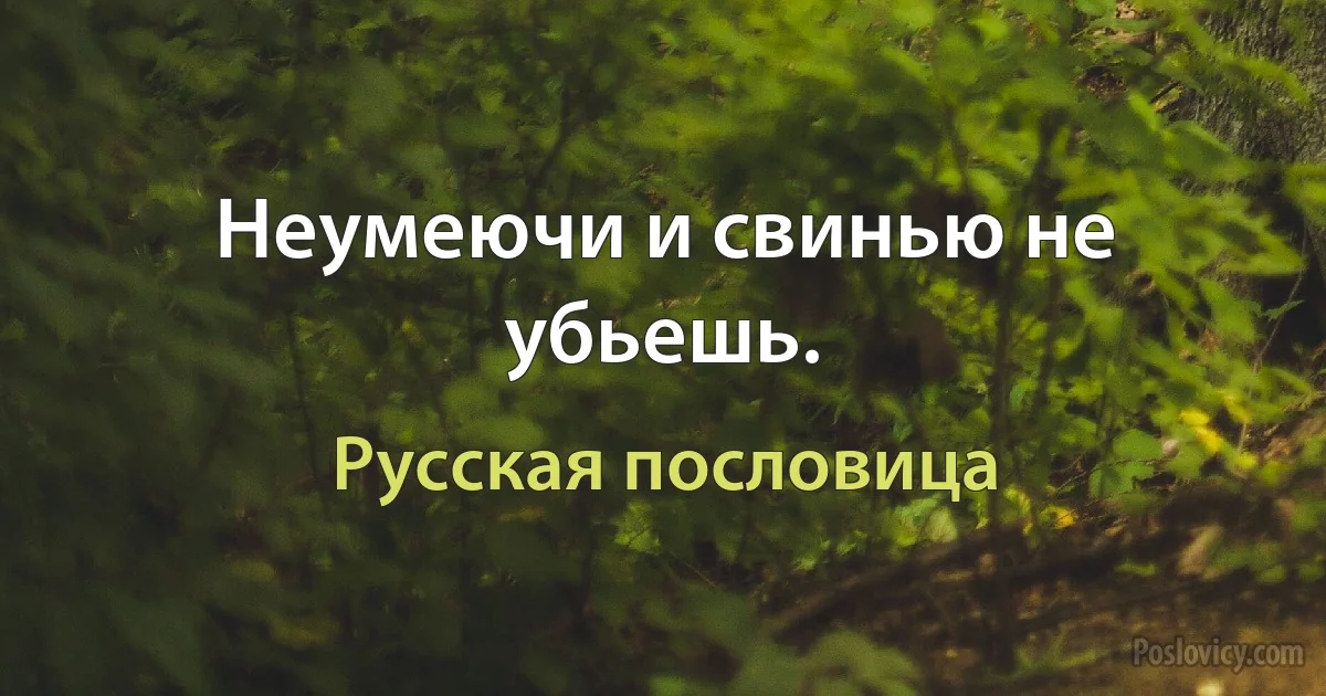 Неумеючи и свинью не убьешь. (Русская пословица)