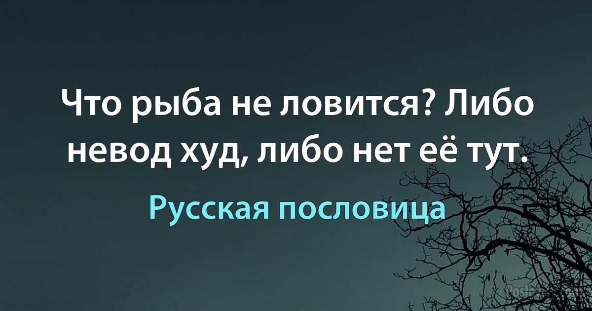 Что рыба не ловится? Либо невод худ, либо нет её тут. (Русская пословица)