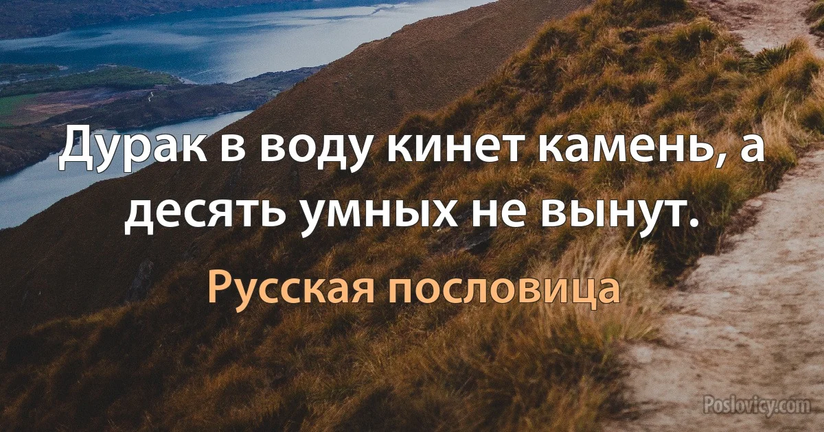 Дурак в воду кинет камень, а десять умных не вынут. (Русская пословица)