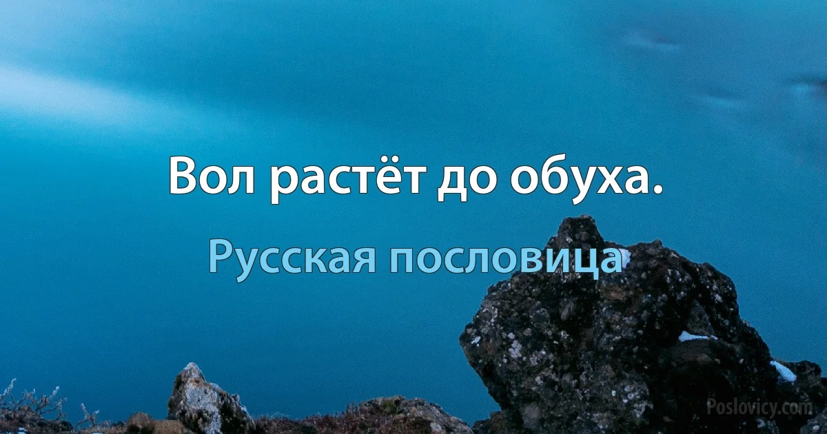 Вол растёт до обуха. (Русская пословица)