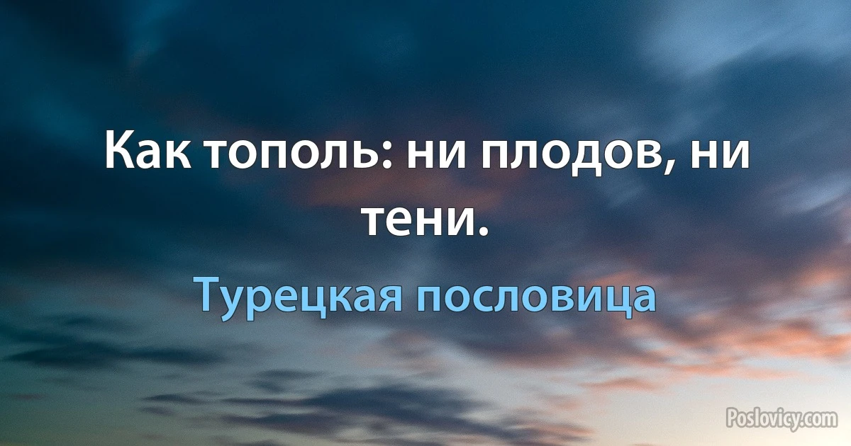 Как тополь: ни плодов, ни тени. (Турецкая пословица)